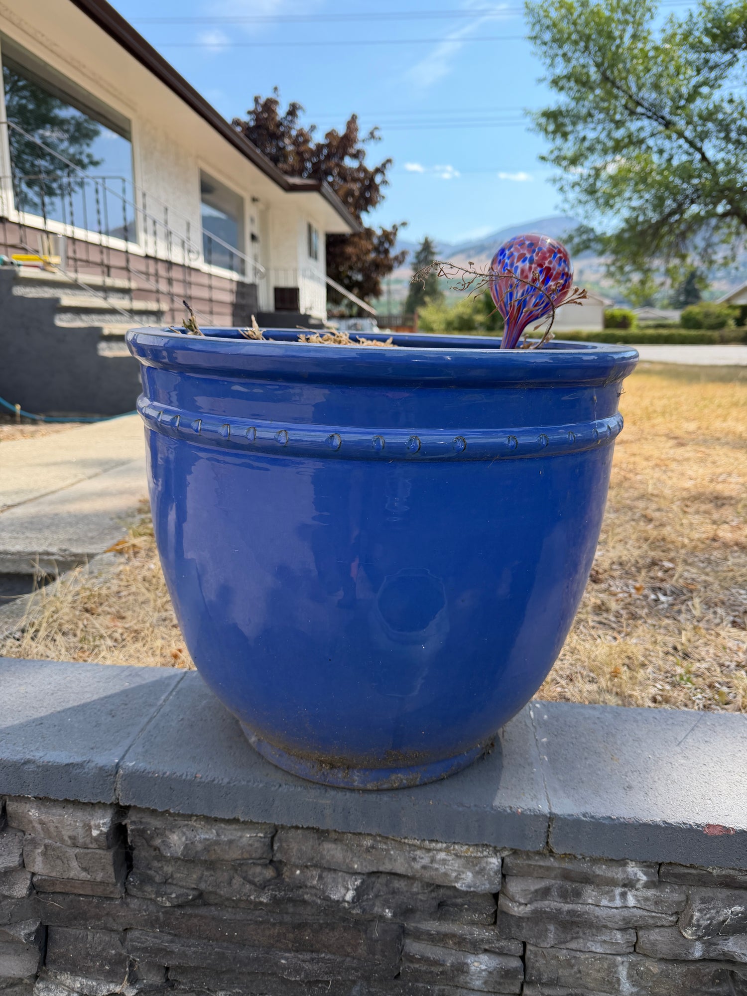 Outdoor and Garden