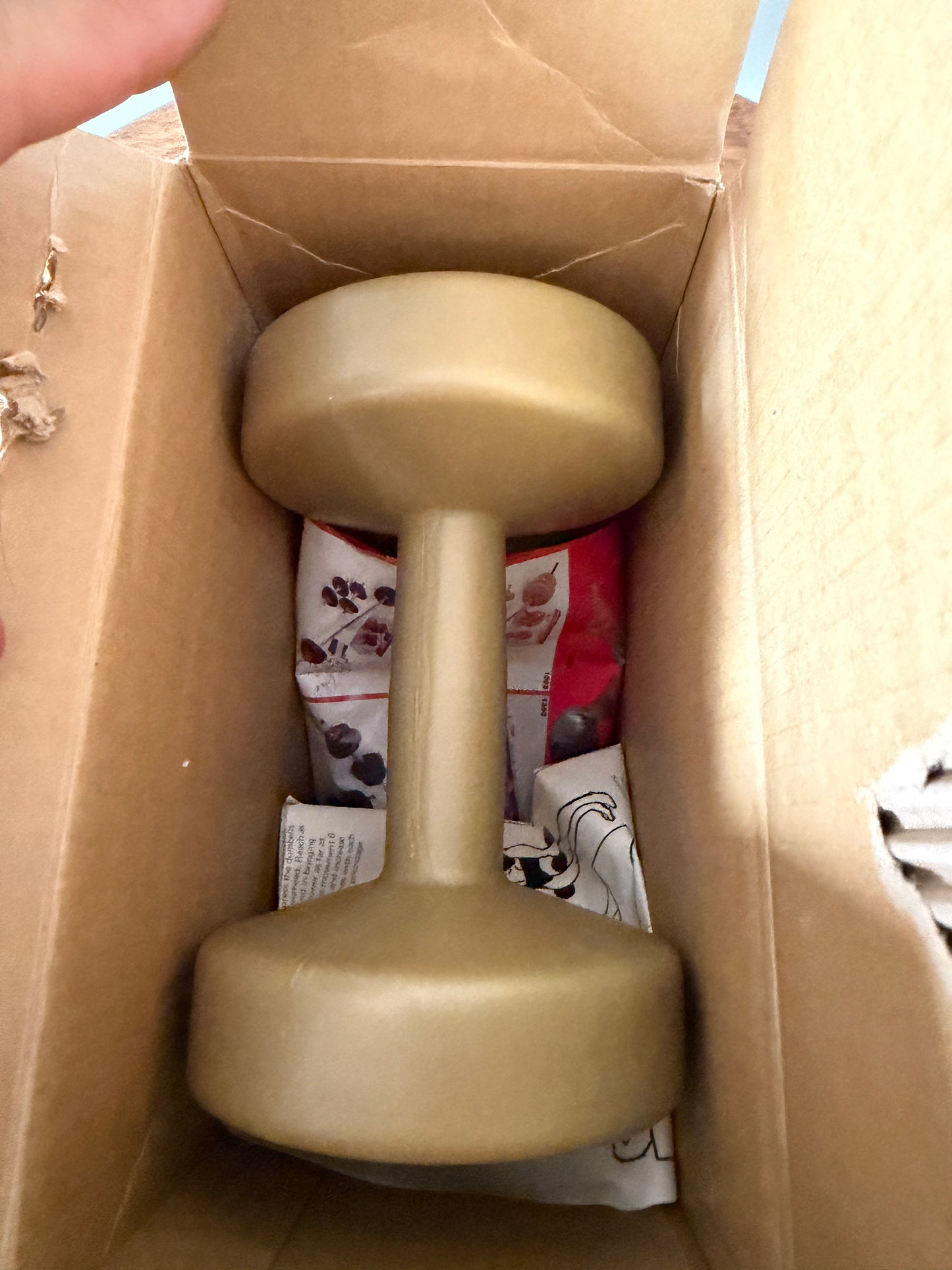 Vintage York V10 5 lb Vinyl Dumbbell Set – Made in Canada – Original Box