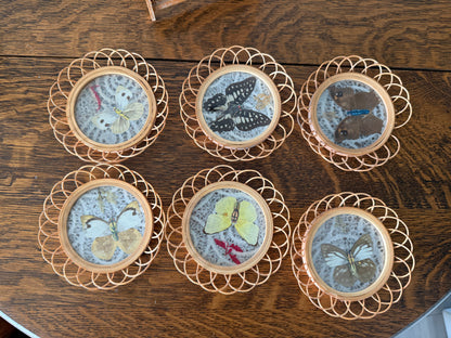 Vintage Butterfly Specimen Coaster Set with Rattan Stand – Set of 6